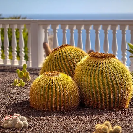 Stunning With Breathtaking Ocean View Mogan
