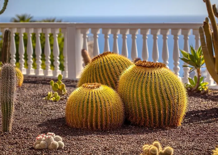 Stunning With Breathtaking Ocean View 波多黎各